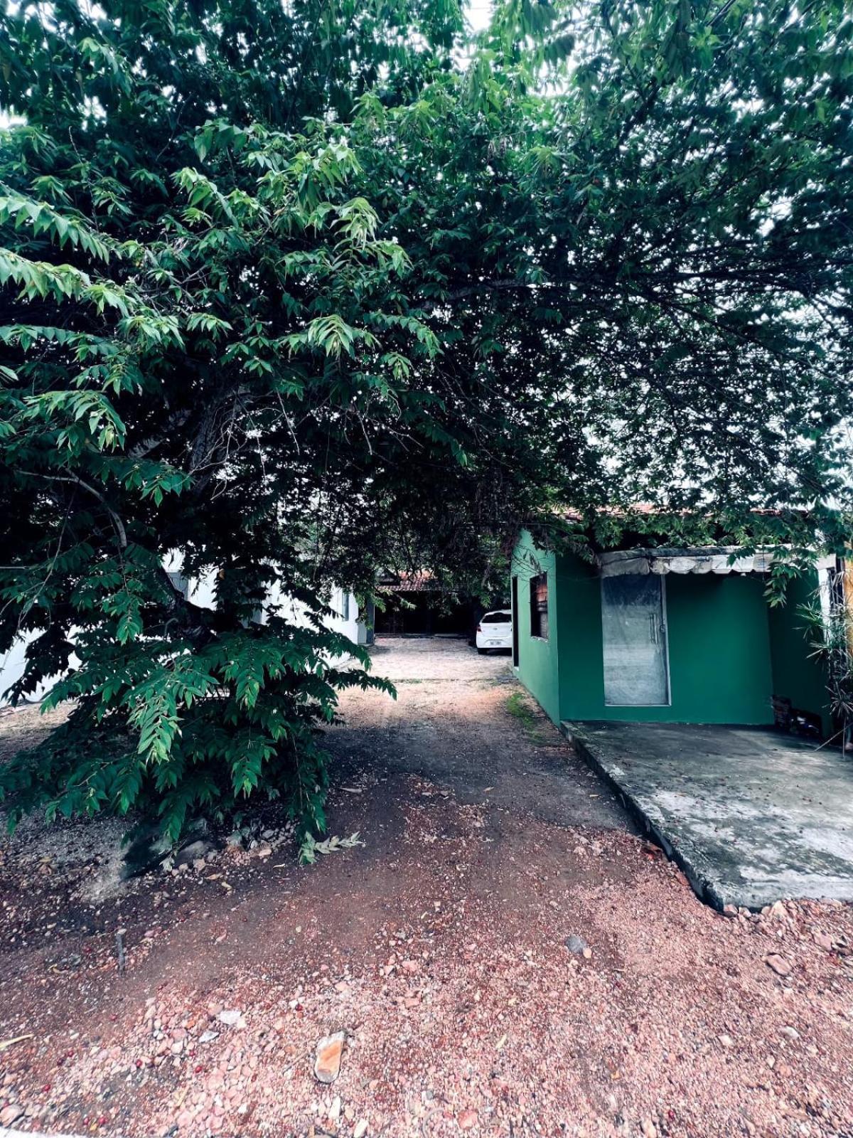 Casa Tamboril Appartement São Jorge Buitenkant foto